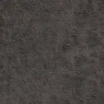 Northwest Elk