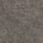 Northwest Paloma Grey
