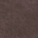 Palnce Silt